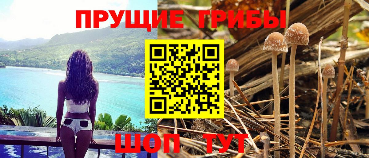 Галлюциногенные грибы Magic Shrooms Муравленко